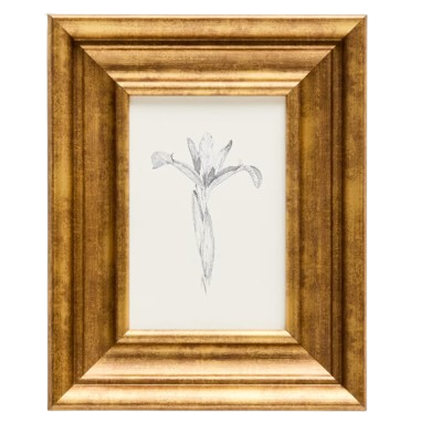 YALIRA Picture with botanical illustration 33 x 41 cm