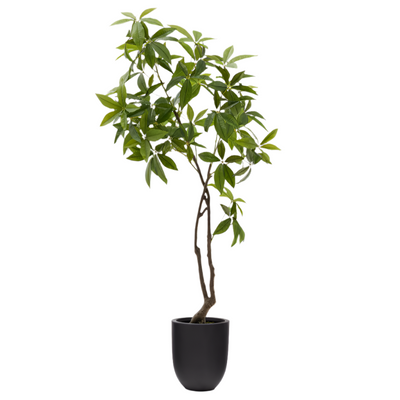 PACHIRA Artificial Pachira tree in black pot 180 cm