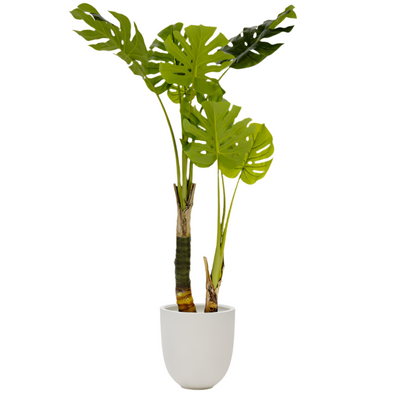 MONSTERA Artificial plant 130 cm
