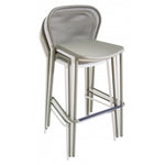 DARWIN Željezna barska stolica