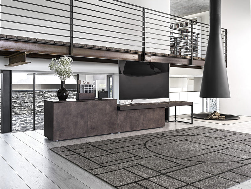 CHINESE Oriental design rug