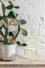 GENERIC C Set od 2 stolice