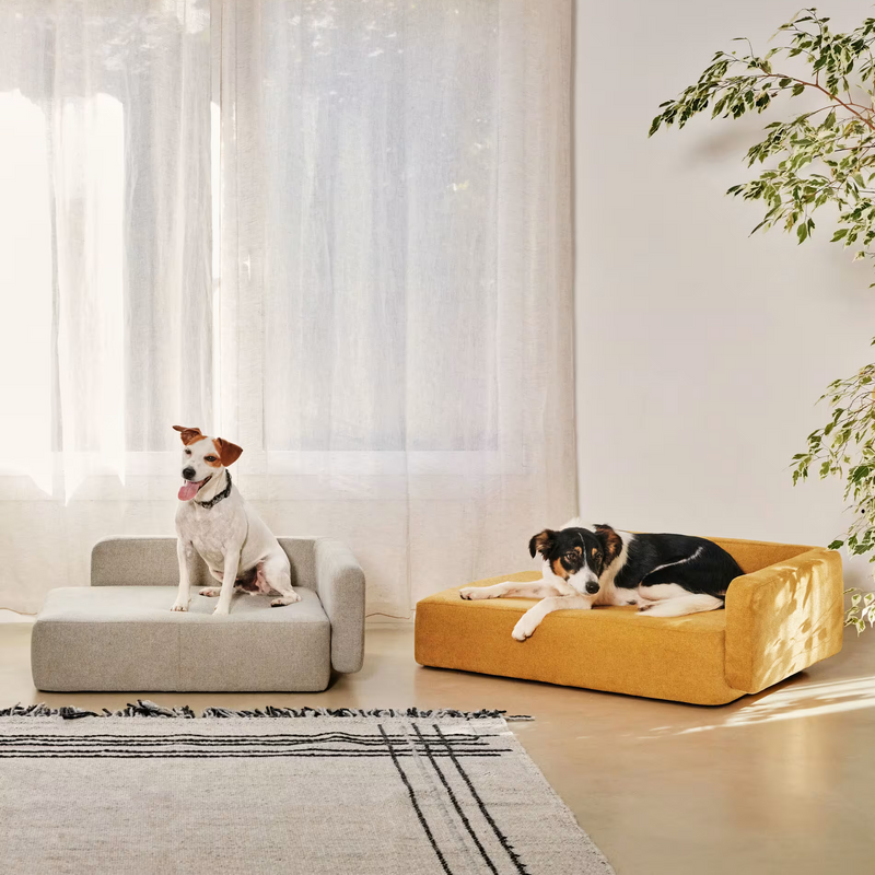 BOWIE Small bed for pets in two sizes