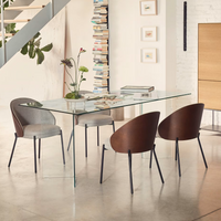 EAMY Light brown chair in an ash wood veneer with a wenge finish and black metal