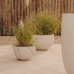 GRAU White Cement Planter Ø 56 cm  -  Ø 72cm