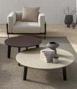 CLEOSOFT Wood coffee table D100