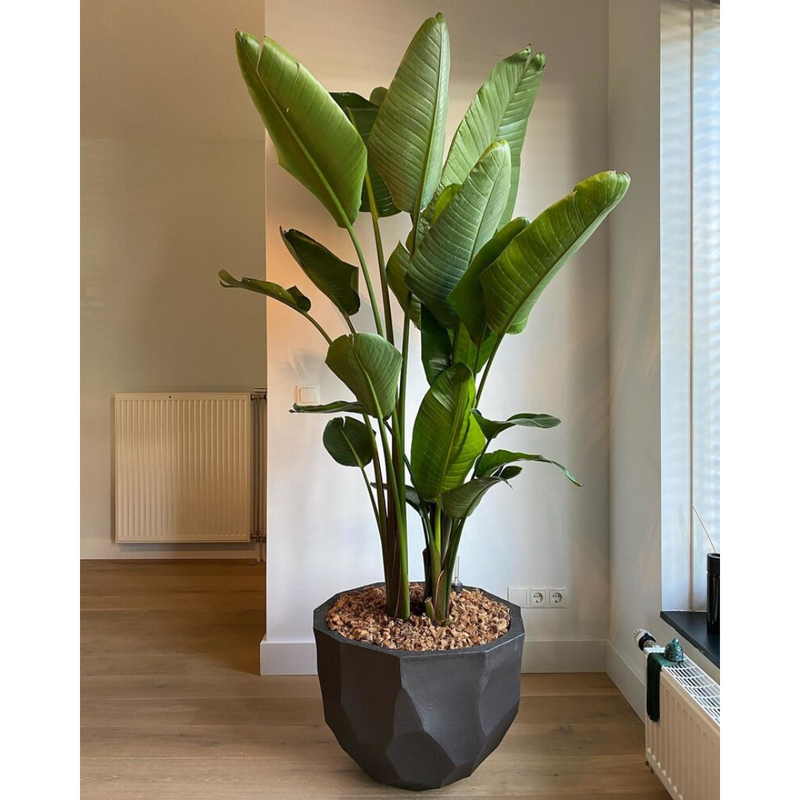 BILBAO Posuda za biljke