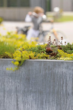 COLUMN Posuda za cvijeće