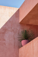 AXEL Niska posuda za biljke