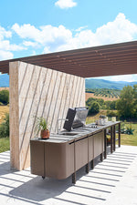 EMILY Right or Left Lateral module