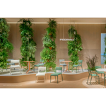 SOUVENIR 550-555 stolica