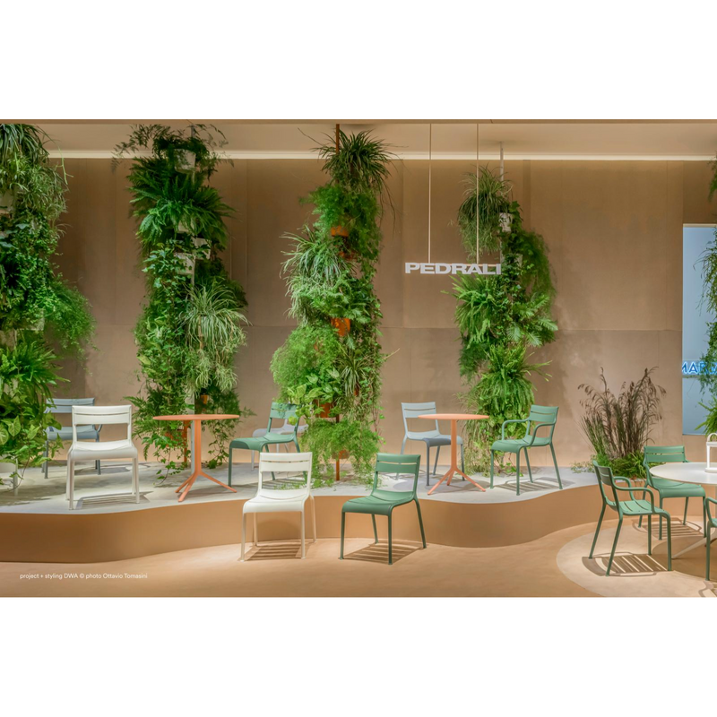 SOUVENIR 550-555 stolica