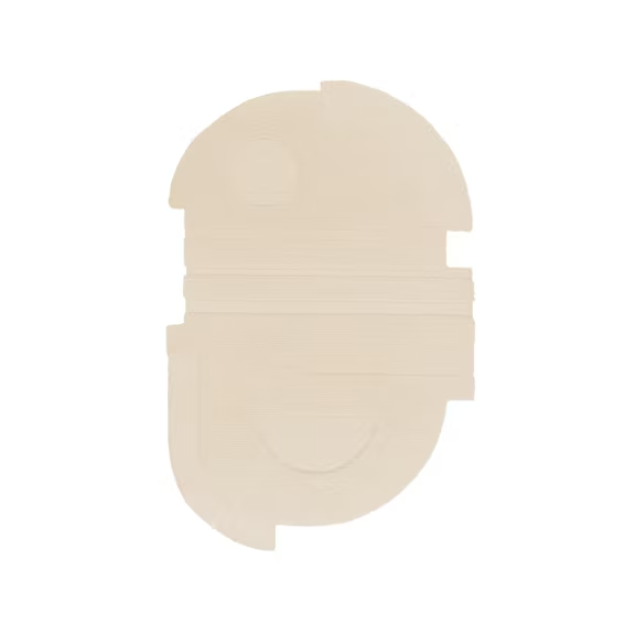 ABSTRACT Organic 02 shape rug