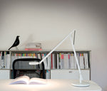 STRING T1 Table lamp | Satin Collection
