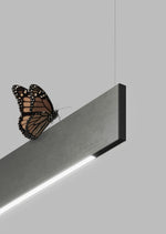 SOTTILE 2 RAZRED (III) Viseća svjetiljka