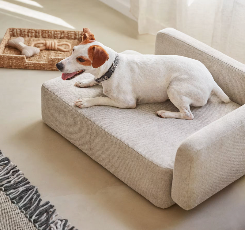 BOWIE Small bed for pets in two sizes