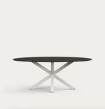 ARGO Ovalni čelični stol s pločom od stakla, 200 x 100 cm