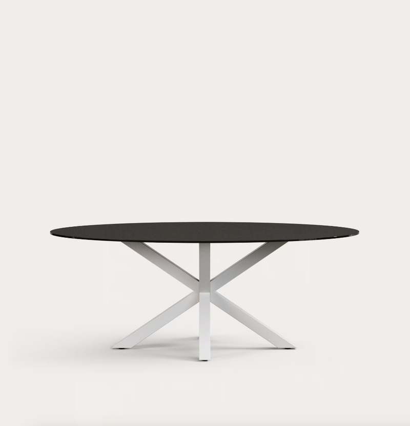 ARGO Ovalni čelični stol s pločom od stakla, 200 x 100 cm