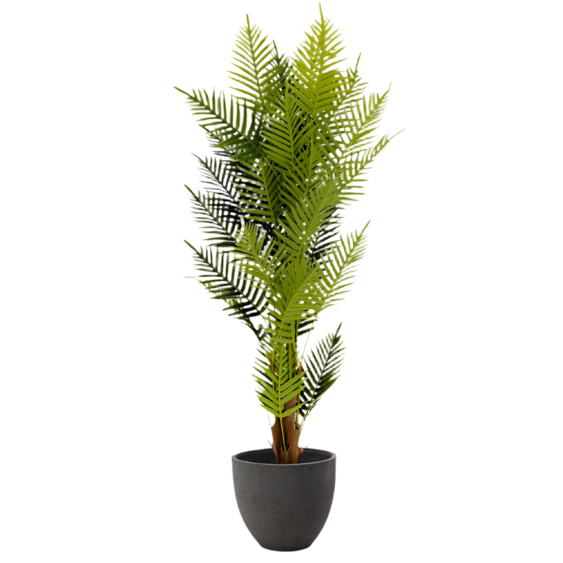 PALMERA Papratna palma 150 cm