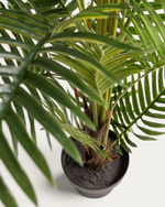 PALMERA Papratna palma 150 cm