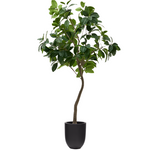 FICUS Umjetno stablo fikusa u crnoj posudi 210 cm