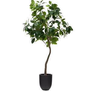 FICUS Artificial Ficus tree in black pot 210 cm