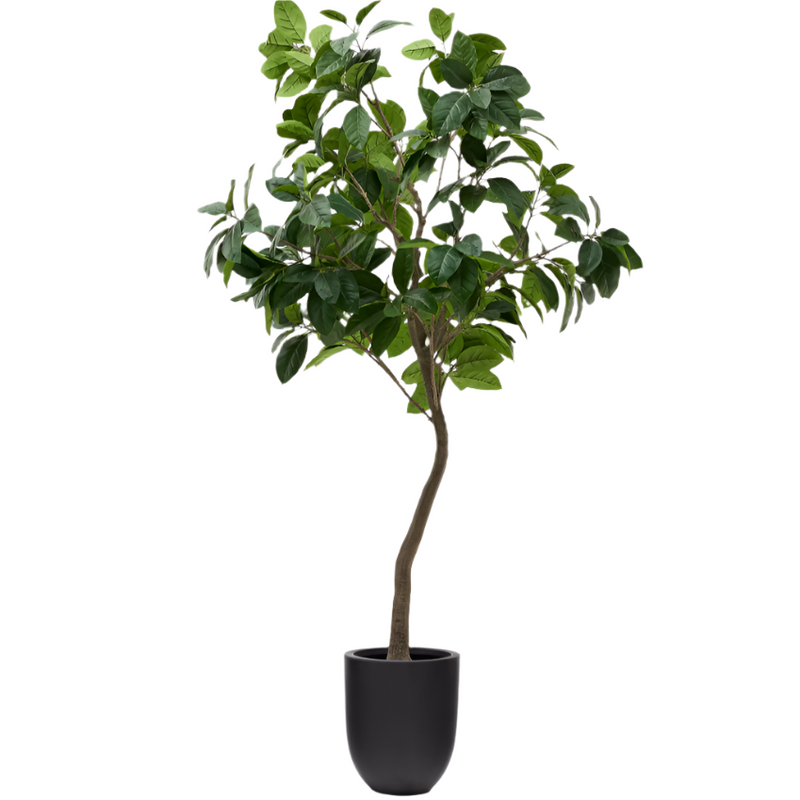 FICUS Umjetno stablo fikusa u crnoj posudi 210 cm