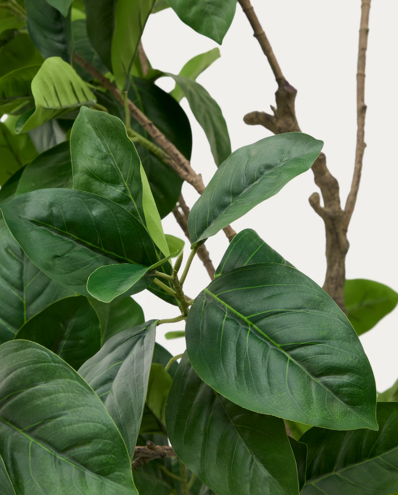 FICUS Umjetno stablo fikusa u crnoj posudi 210 cm