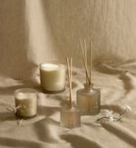 1/SOFT JASMIN 100ml Soft Jasmin fragrance diffuser replacement