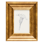 YALIRA Picture with botanical illustration 33 x 41 cm