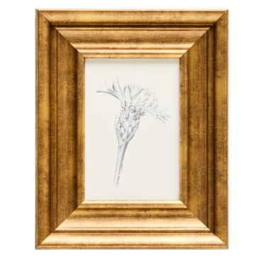 YALIRA Picture with botanical illustration 33 x 41 cm