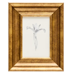 YALIRA Picture with botanical illustration 33 x 41 cm