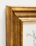 YALIRA Picture with botanical illustration 33 x 41 cm