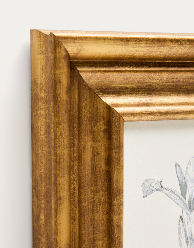 YALIRA Picture with botanical illustration 33 x 41 cm