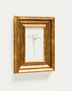 YALIRA Picture with botanical illustration 33 x 41 cm