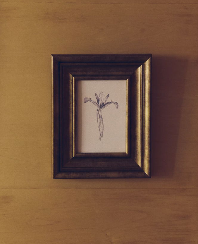 YALIRA Picture with botanical illustration 33 x 41 cm