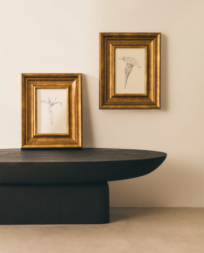 YALIRA Picture with botanical illustration 33 x 41 cm