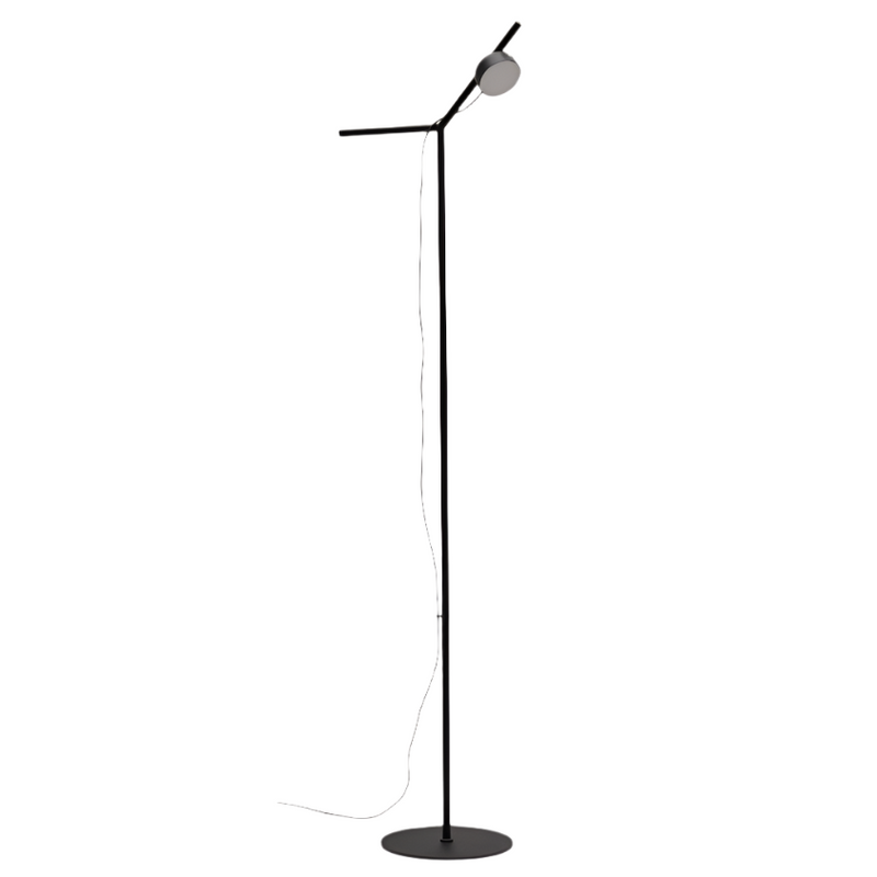 OREY black metal floor lamp with multi-position spotlight