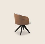 OZZY Blagovaonska stolica