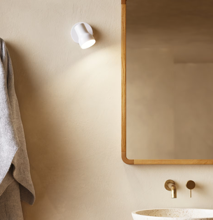 SHAMEL Ogledalo od punog tikovine 45 x 70 cm