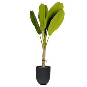 BANANO Artificial plant 160 cm