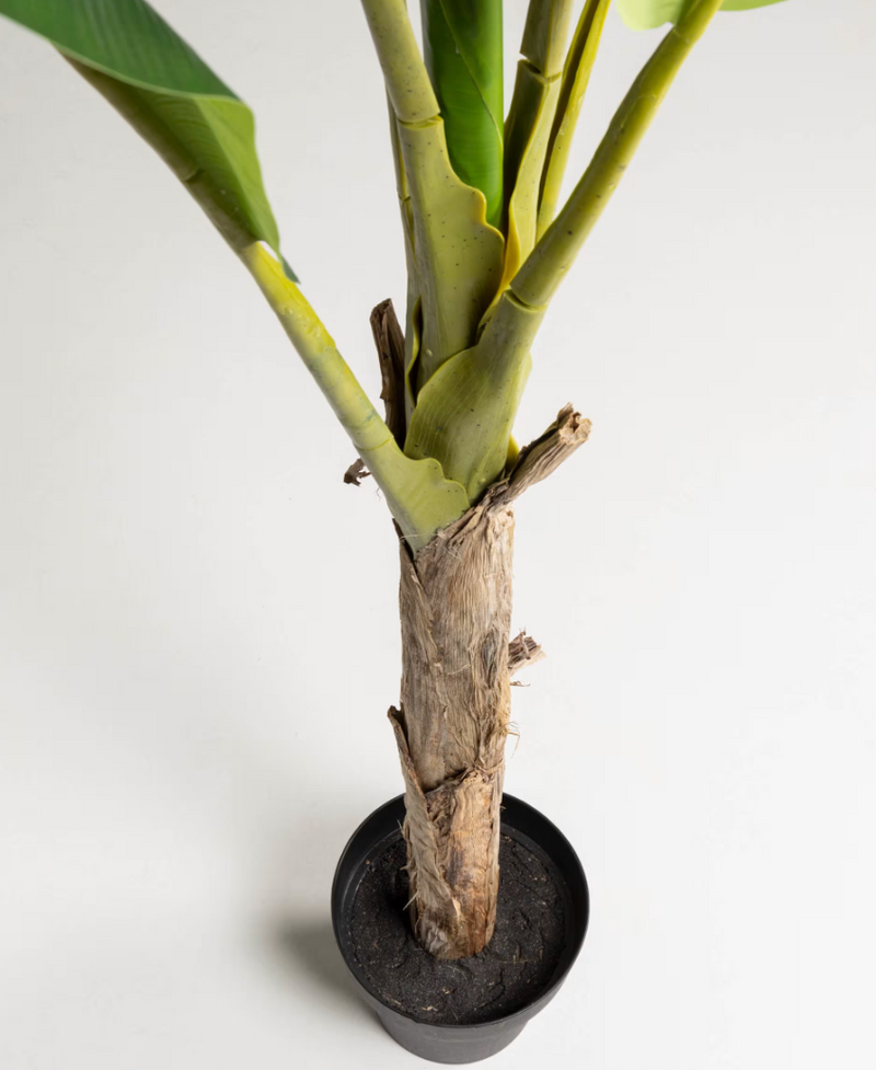 BANANO Umjetna biljka 160 cm