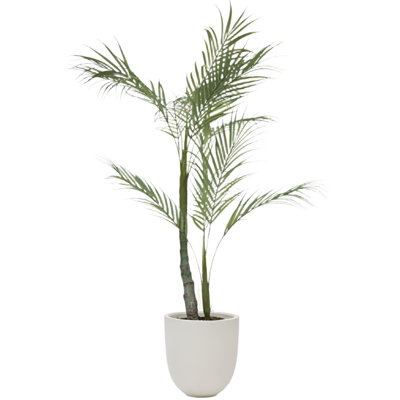 PALMERA Palma s crnom teglom 70 cm
