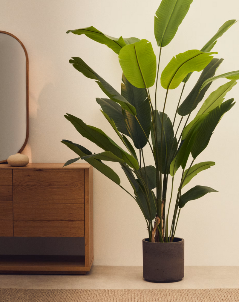 BANANO Umjetna biljka banane u crnoj posudi 210 cm