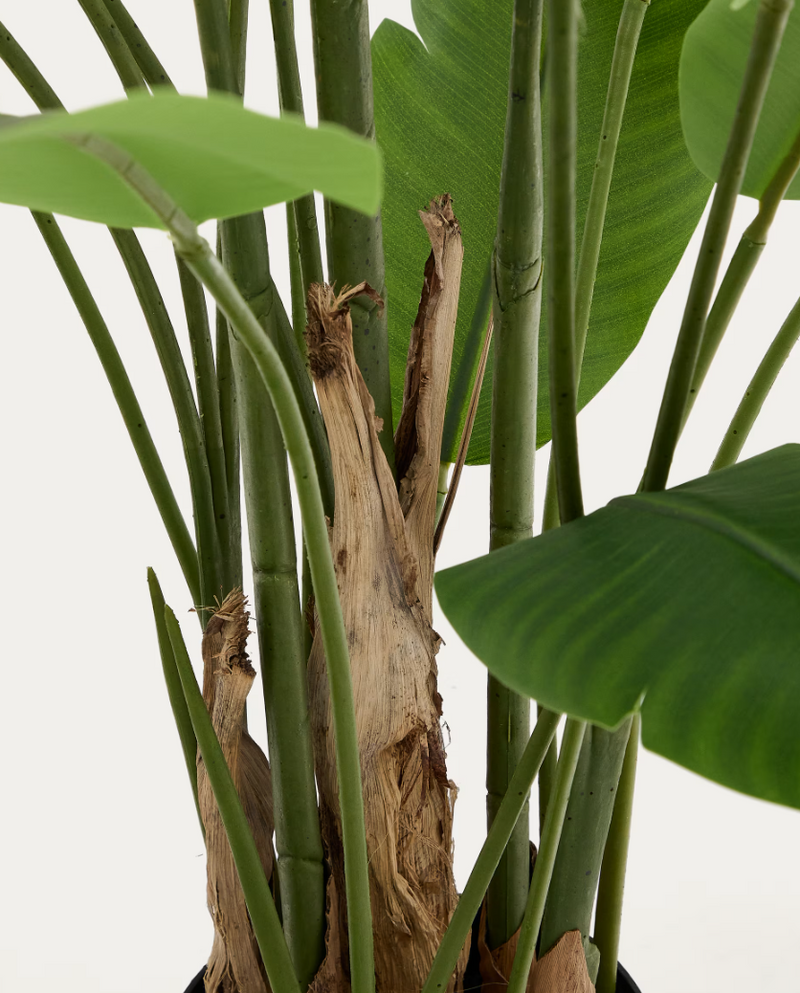 BANANO Umjetna biljka banane u crnoj posudi 210 cm