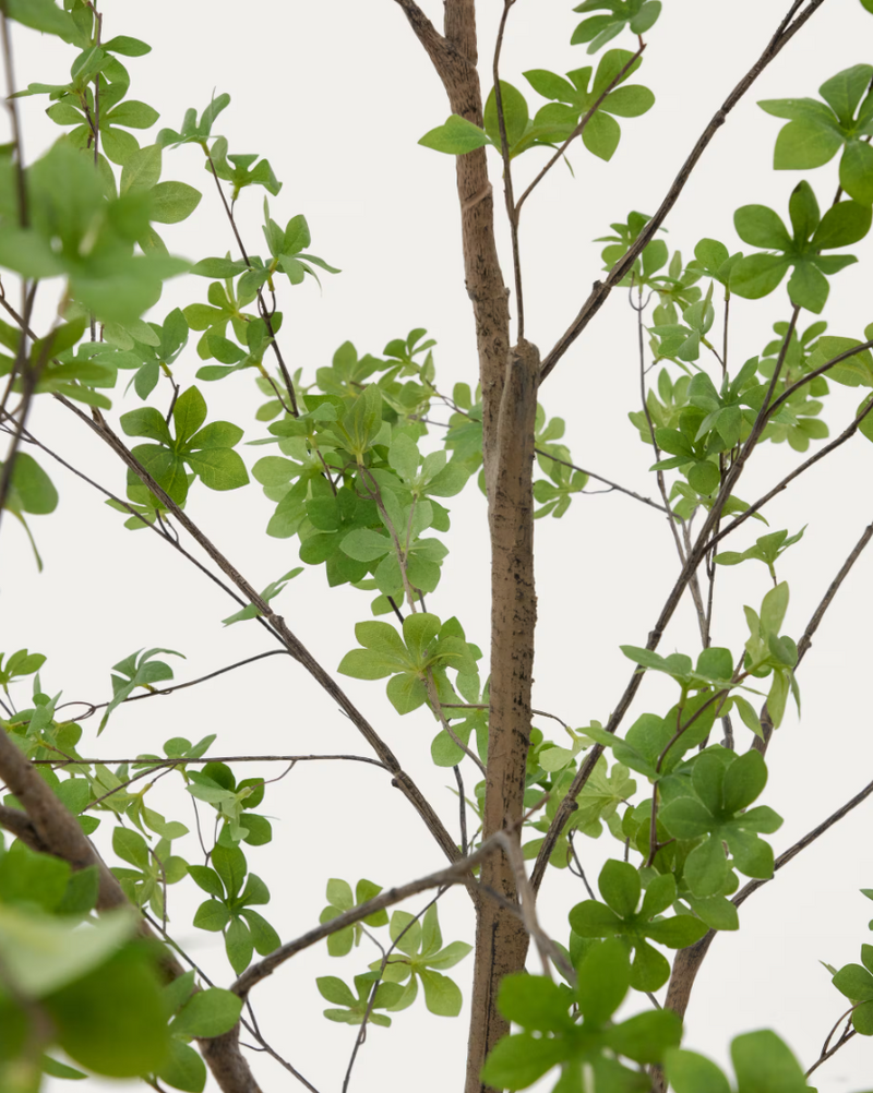 ENKIANTHUS Umjetno drvce s crnom posudom 214 cm