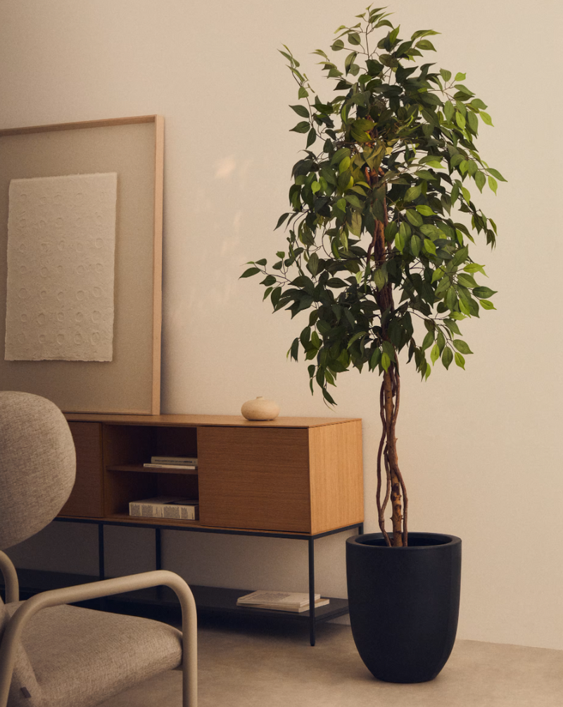 FICUS Umjetno stablo fikusa u crnoj posudi 180 cm