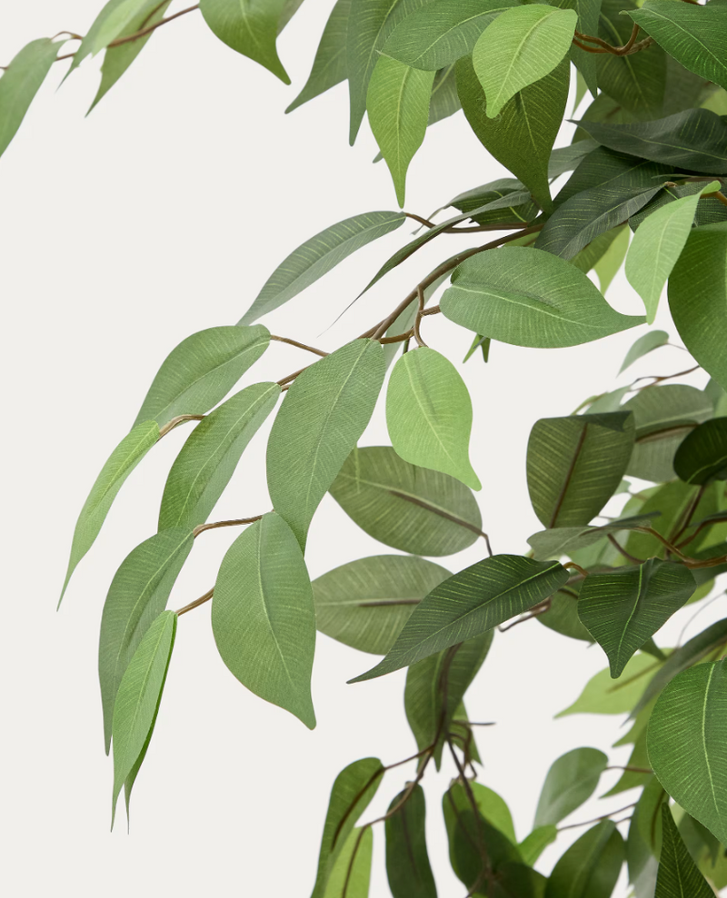 FICUS Umjetno stablo fikusa u crnoj posudi 180 cm