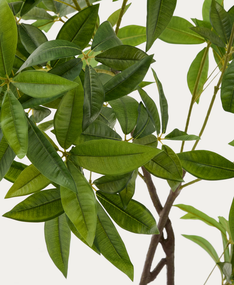 PACHIRA Umjetno drvce Pachira u crnoj posudi 180 cm