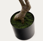 PACHIRA Umjetno drvce Pachira u crnoj posudi 180 cm